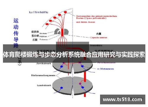 体育爬楼锻炼与步态分析系统融合应用研究与实践探索